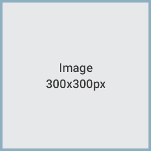 300x300px